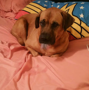 Meet your Posher, Crystal